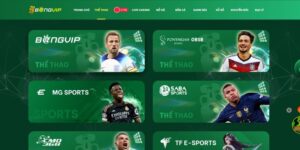 Thể thao Bongvip – Danh Mục Cá Cược Hot Không Thể Bỏ Lỡ