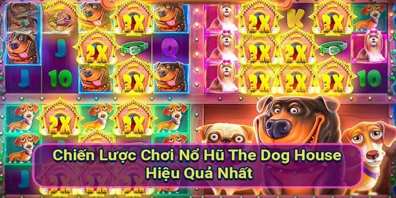 Bong vip - Hướng dẫn trải nghiệm game nổ hũ The Dog House