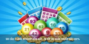 Soi cầu 3 càng Bongvip Hôm Nay - Bí Kíp Dự Đoán Chuẩn Xác 100%